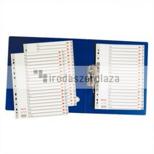 Regiszter, műanyag, A4, Jan-Dec, ESSELTE, szürke