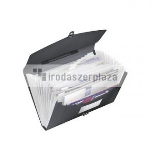Harmonikatáska, A4, PP, 12 rekeszes, ESSELTE "Vivida", fekete