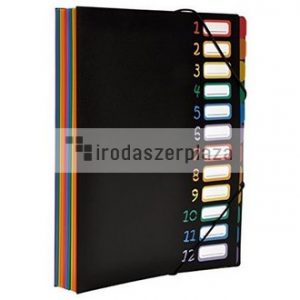 Irattartó mappa, gumis, 12 részes, VIQUEL "Rainbow Class", fekete