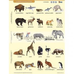 Tanulói munkalap, A4, STIEFEL" Vadon élő állatok"
