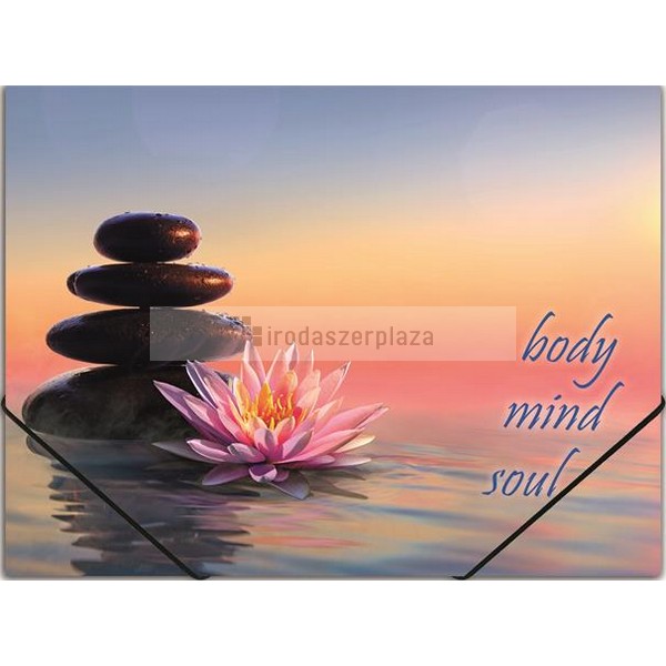 Gumis mappa, 15 mm, PP, A4, PANTA PLAST "Zen"