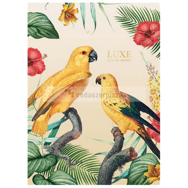 Füzet, tűzött, vonalas, A4, 40 lap, SHKOLYARYK "Luxe Nature", vegyes